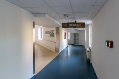 Chirurgie / Surgery